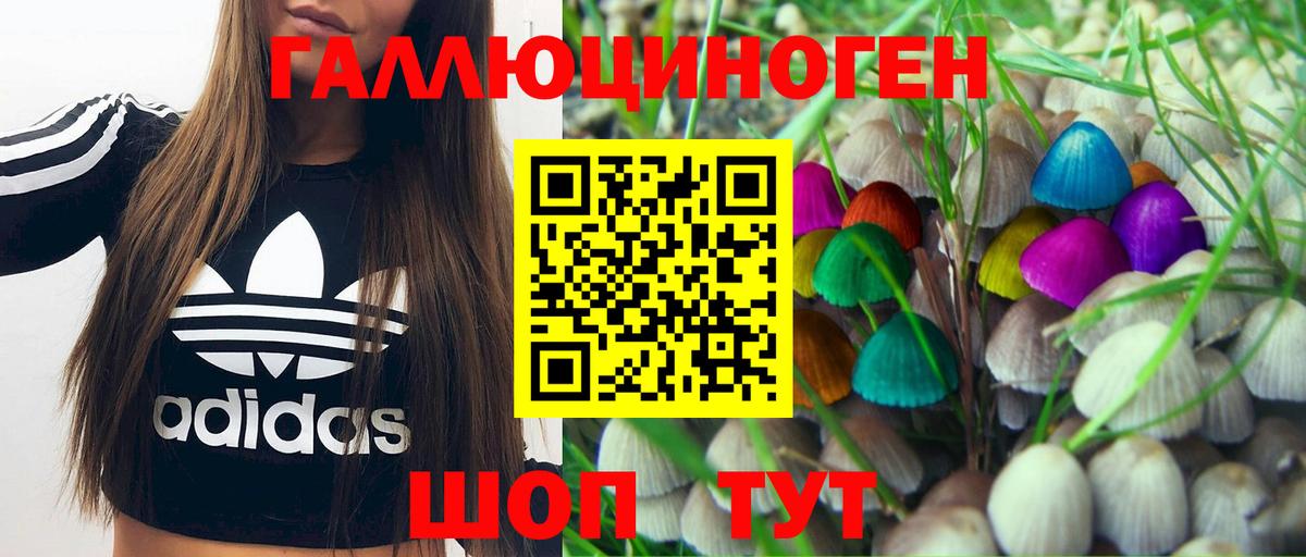Галлюциногенные грибы MAGIC MUSHROOMS Анжеро-Судженск